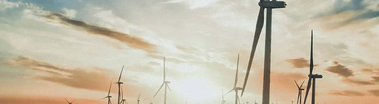 banner-image