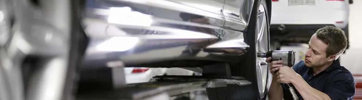 banner-image